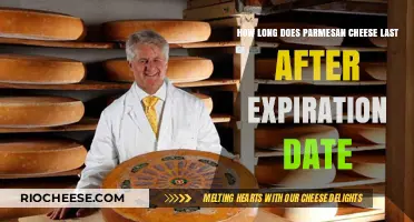 Parmesan Cheese Shelf Life: How Long Does It Last Past Expiration?