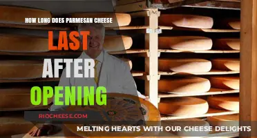 Parmesan Cheese Shelf Life: How Long Does It Last After Opening?