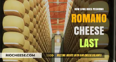Savoring Pecorino Romano: A Guide to Its Shelf Life and Storage Tips