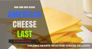 Savoring Freshness: The Shelf Life of Sliced American Cheese