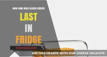 Savoring Freshness: A Guide to Sliced Cheese Storage