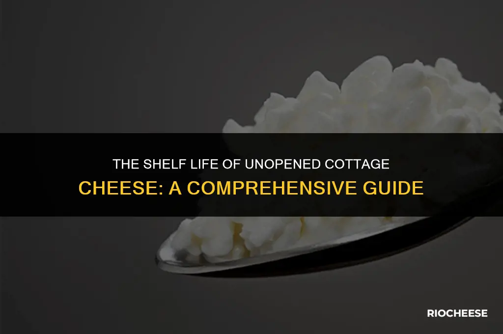 how long does unopened cottage cheese last