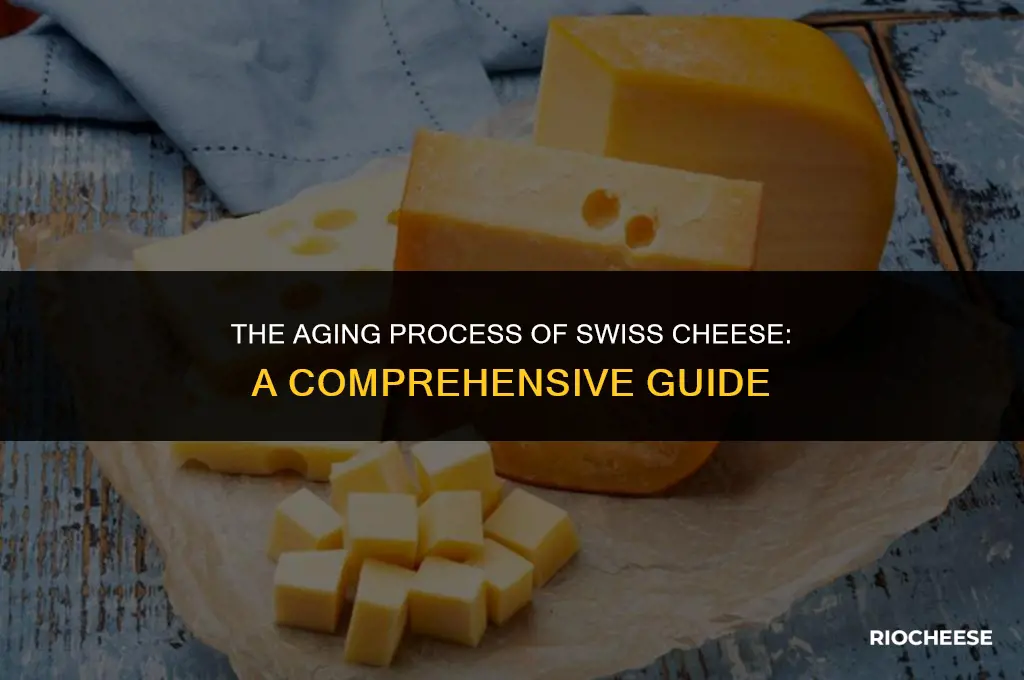 how long is swiss cheese aged