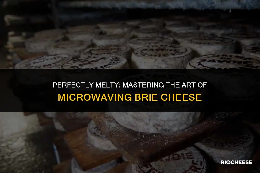 how long to microwave brie cheese