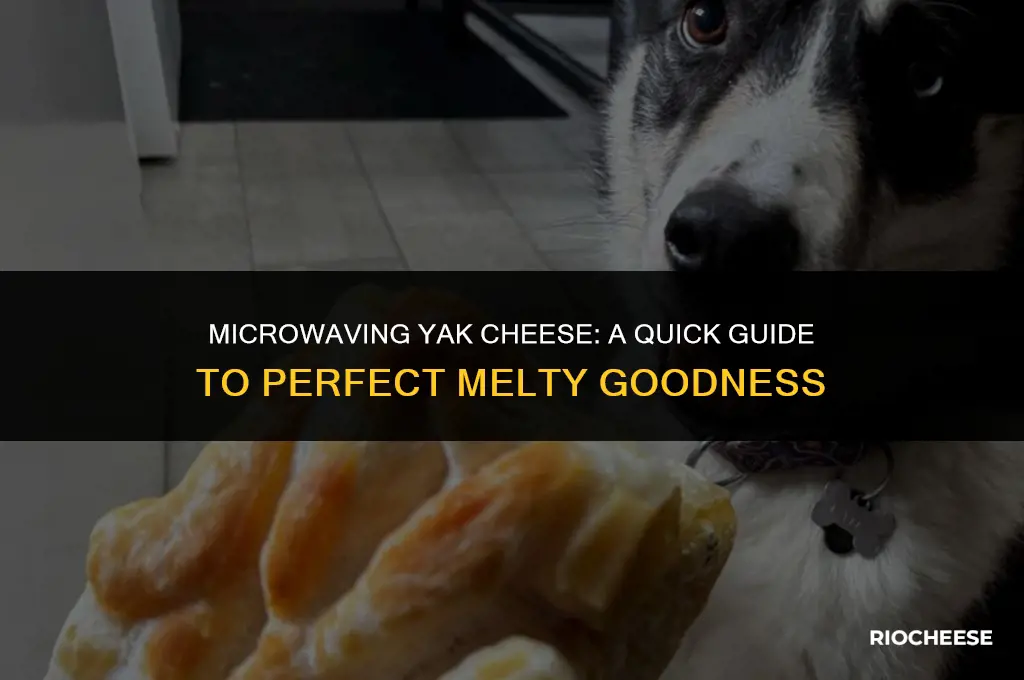 how long to microwave yak cheese