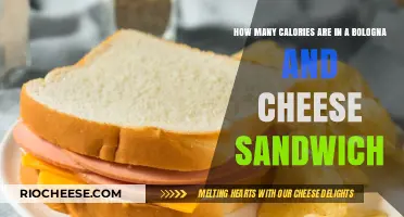 Delicious Bologna and Cheese Sandwich: A Caloric Breakdown