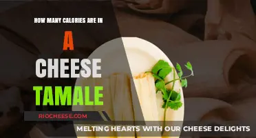 Delicious Cheese Tamales: Unveiling the Caloric Mystery
