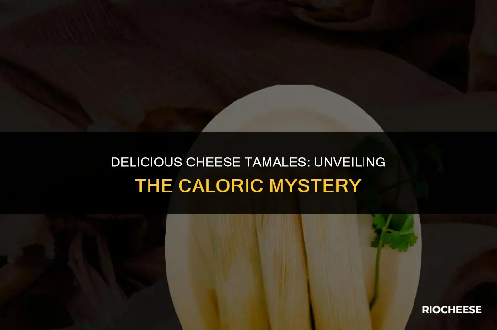 how many calories are in a cheese tamale