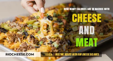 Savoring Nachos: A Delicious Dive into Calorie Content