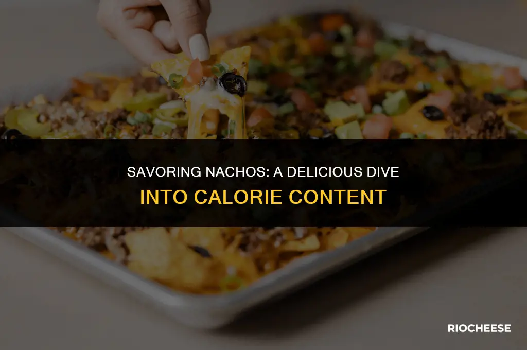 how many calories are in nachos with cheese and meat