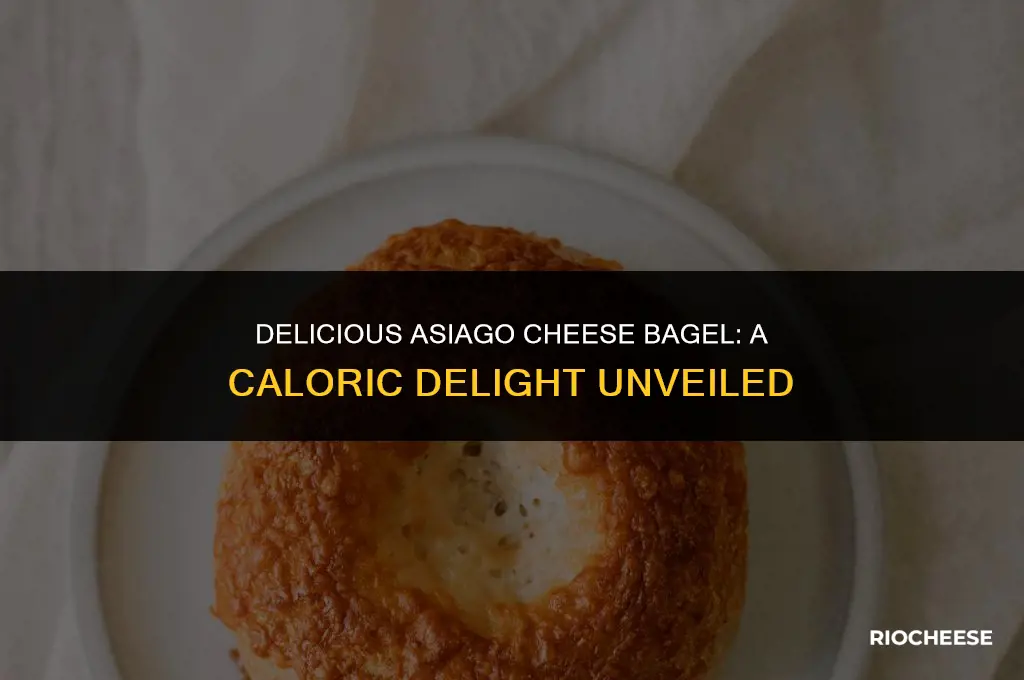 how many calories in an asiago cheese bagel