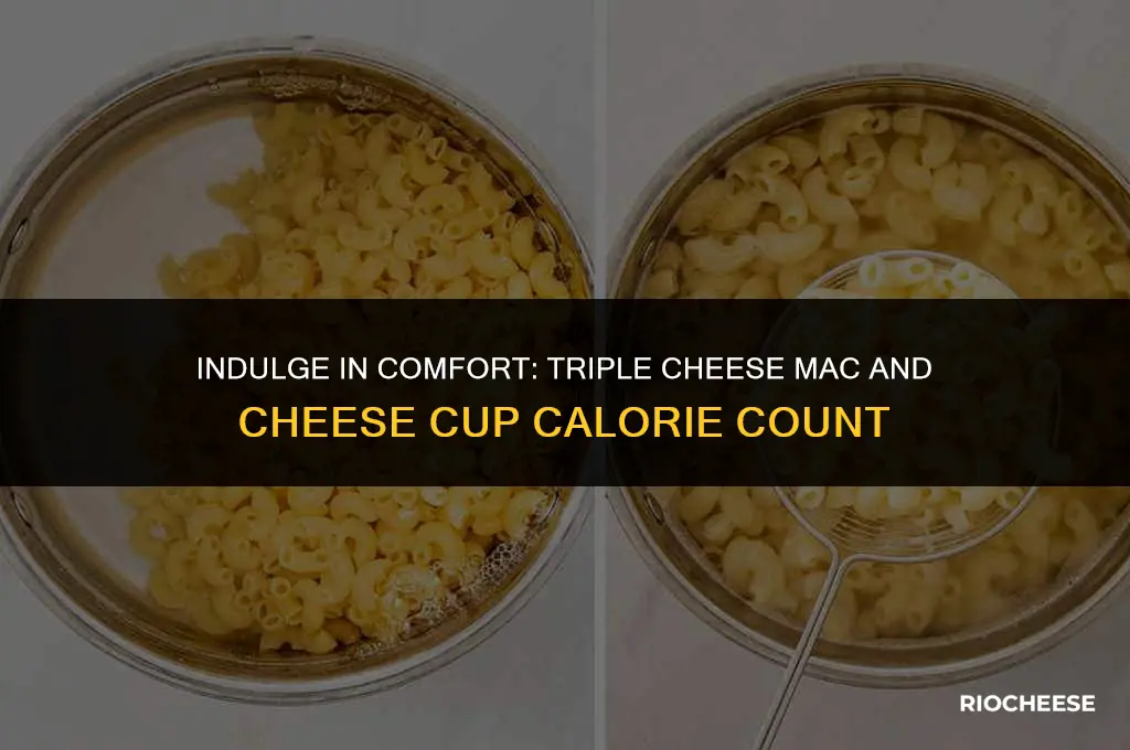 how many calories in triple cheese mac and cheese cup