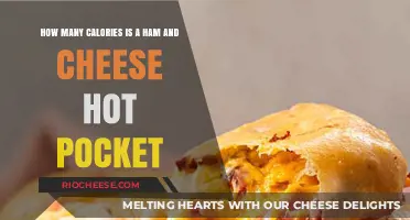 Delicious Dilemma: Calorie Count of a Ham and Cheese Hot Pocket