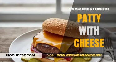 Decoding the Carb Content: Cheeseburger Patties Under the Microscope