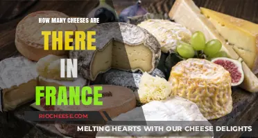 Exploring the Rich Diversity of French Cheeses: A Comprehensive Guide