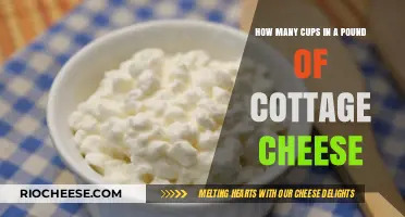 Measuring Up: Cottage Cheese Cups to Pounds Conversion Guide
