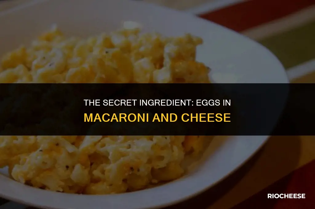 how many eggs in macaroni and cheese