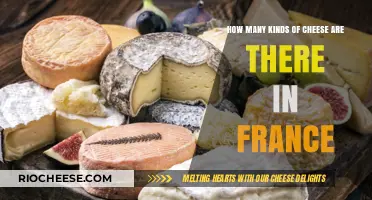 Exploring the Rich Diversity of French Cheeses: A Gourmet's Guide