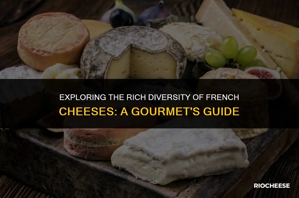 how many kinds of cheese are there in france