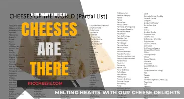 Exploring the Rich Diversity of Cheese Varieties Around the World