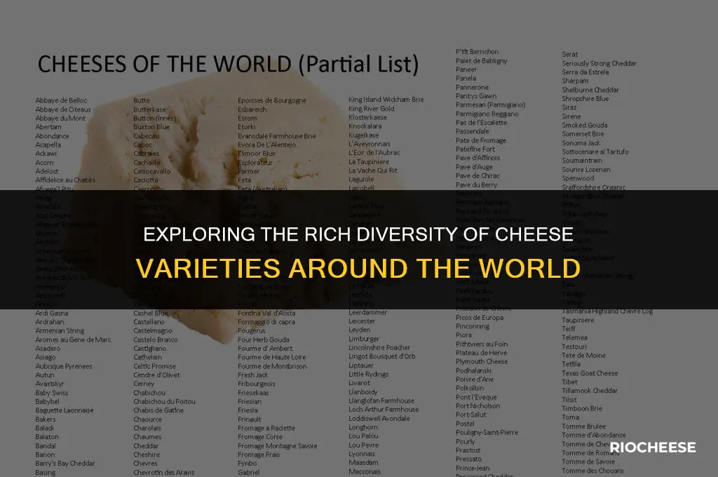 how many kinds of cheeses are there