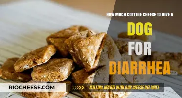 Cottage Cheese for Canine Diarrhea: A Comprehensive Guide