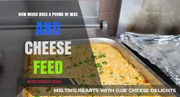 Mac and Cheese Math: Feeding a Crowd on a Budget