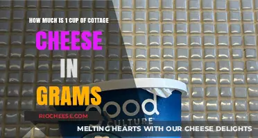 Measuring Up: The Gram Count of a Cup of Cottage Cheese