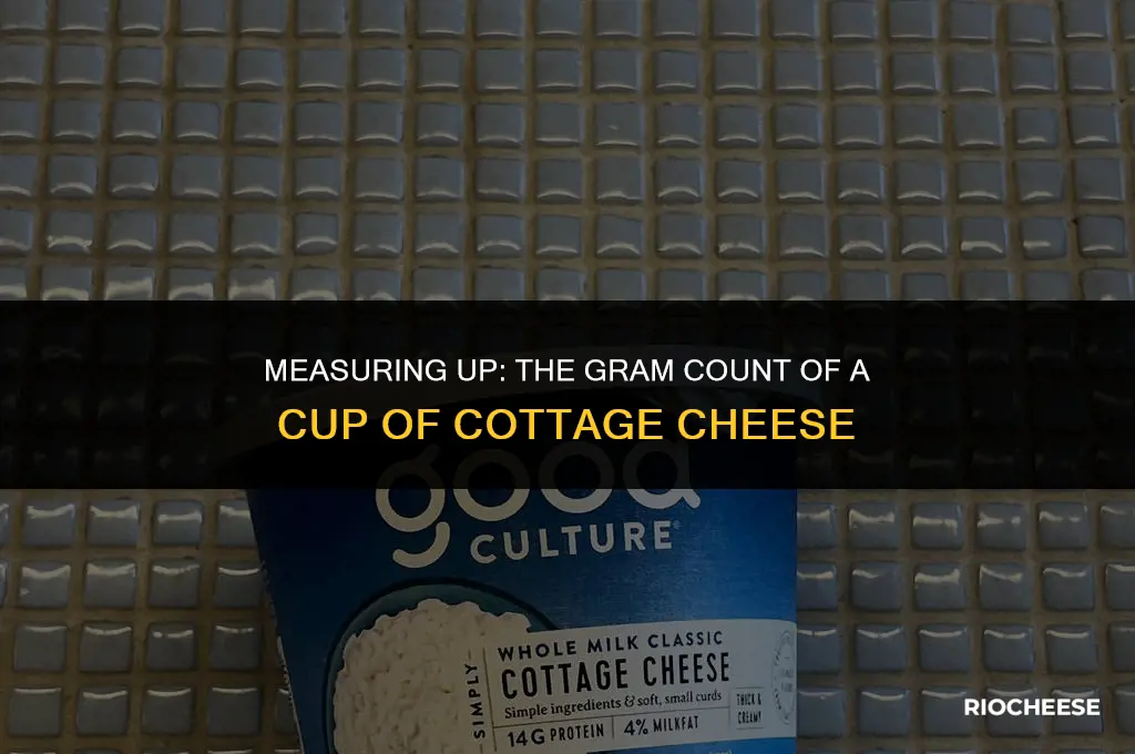 how much is 1 cup of cottage cheese in grams