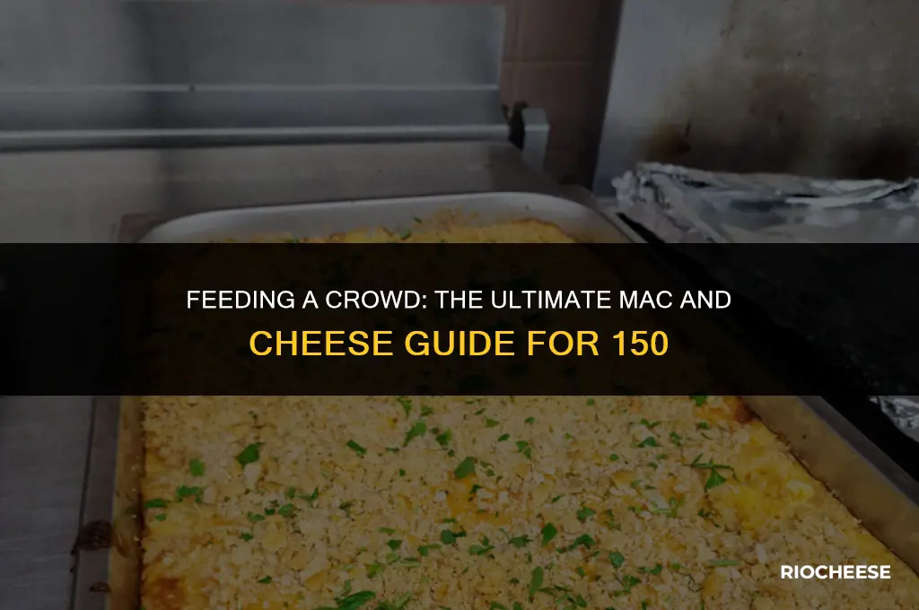 how much mac and cheese for 150