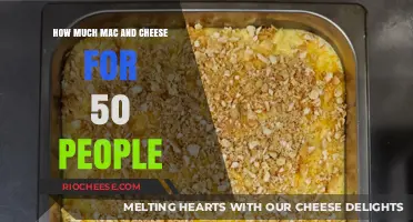 Feeding Fifty: The Ultimate Mac and Cheese Recipe Guide