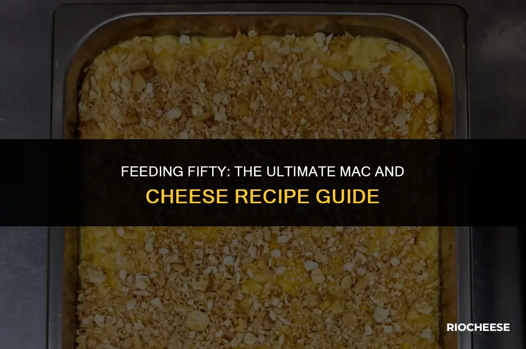 how much mac and cheese for 50 people