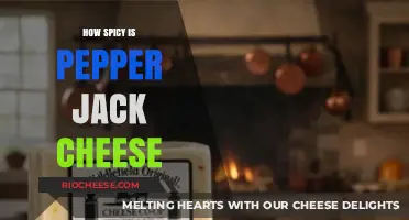 Exploring the Heat: How Spicy is Pepper Jack Cheese?