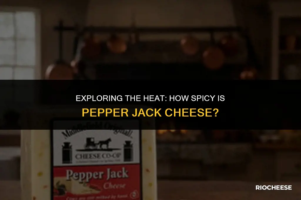 how spicy is pepper jack cheese