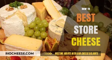The Art of Cheese Storage: Tips for Perfect Preservation