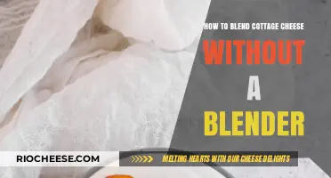Smooth Cottage Cheese: Blender-Free Blending Hacks for a Creamy Texture