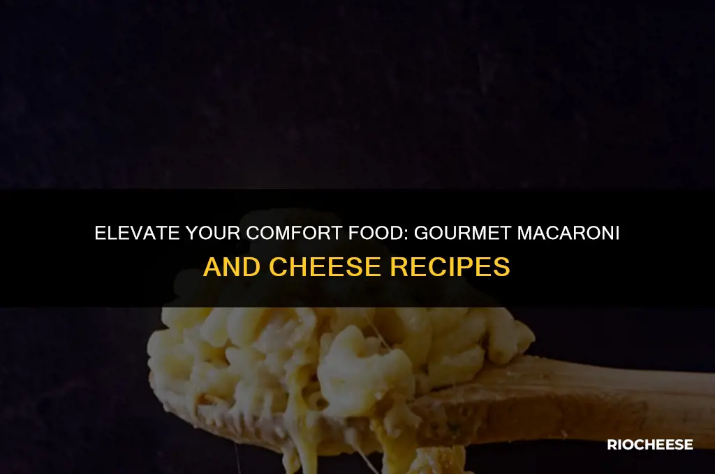 how to cook gourmet macaroni and cheese