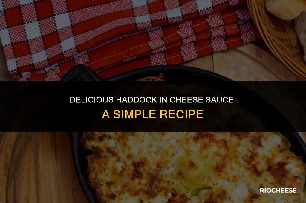 how to cook haddock in cheese sauce