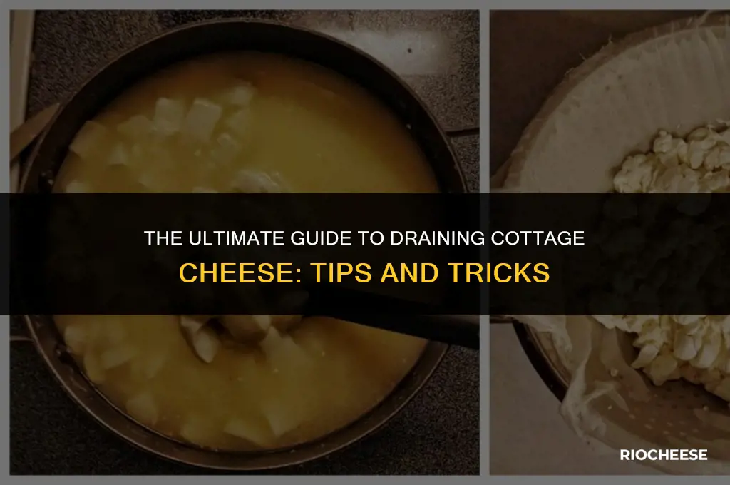 how to drain cottage cheese