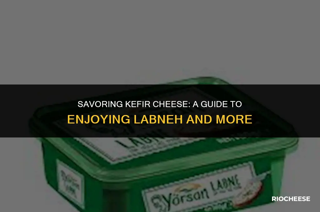 how to eat kefir cheese labne kefir cheese