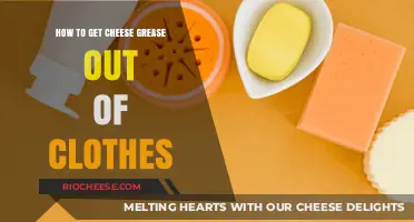 Effective Methods to Remove Cheese Grease Stains from Clothing