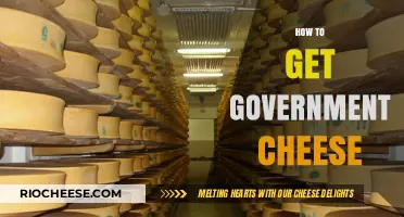 Navigating the Process: How to Obtain Government Cheese Assistance