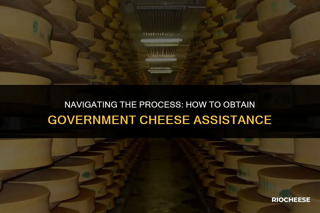 how to get government cheese