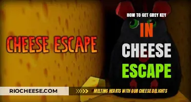 Unlocking the Mystery: How to Obtain the Grey Key in Cheese Escape