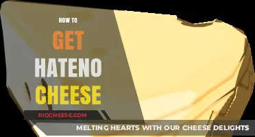 Unlocking the Secret: How to Obtain Hateno Cheese in 8 Words