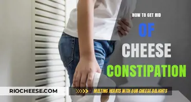 Relief from Cheese Constipation: A Guide to Digestive Health
