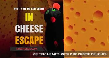 Mastering the Art of Nabbing the Final Cheese in Cheese Escape