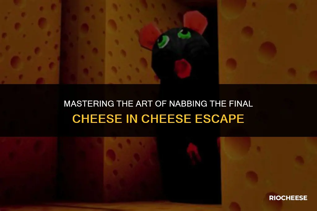 how to get the last cheese in cheese escape