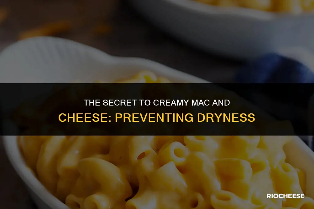 how to keep macaroni and cheese from drying out
