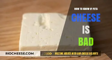 Is Your Feta Fresh? A Guide to Spotting Spoilage